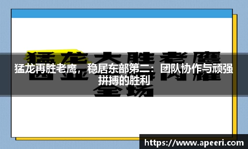 猛龙再胜老鹰，稳居东部第二：团队协作与顽强拼搏的胜利
